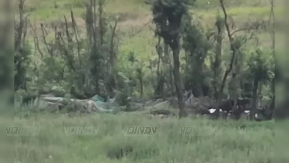 Операторы БЛА 5 армии группировки войск "Восток" уничтожают живую силу и технику противника на Времевском направлении