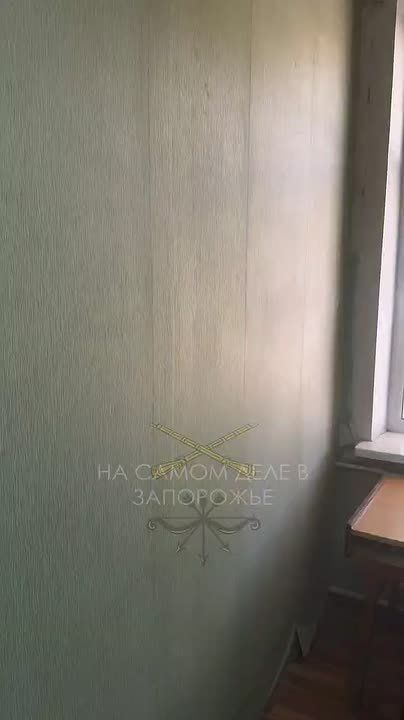 Собачья будка вместо кабинета: Жмурики Куртева возвращаются в Запорожскую мэрию, но им не рады