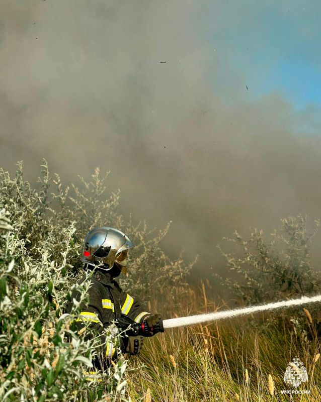 Оперативная информация за сутки