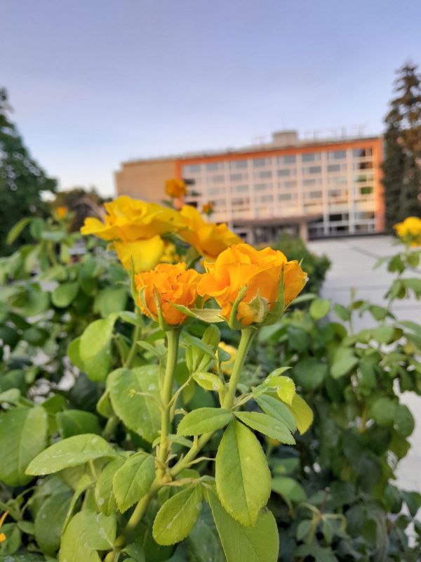 Доброго утра, друзья, вам желаем! Пусть вам сегодня всем повезет! Теплый привет мы отправляем– С лучиком солнца до вас он дойдет