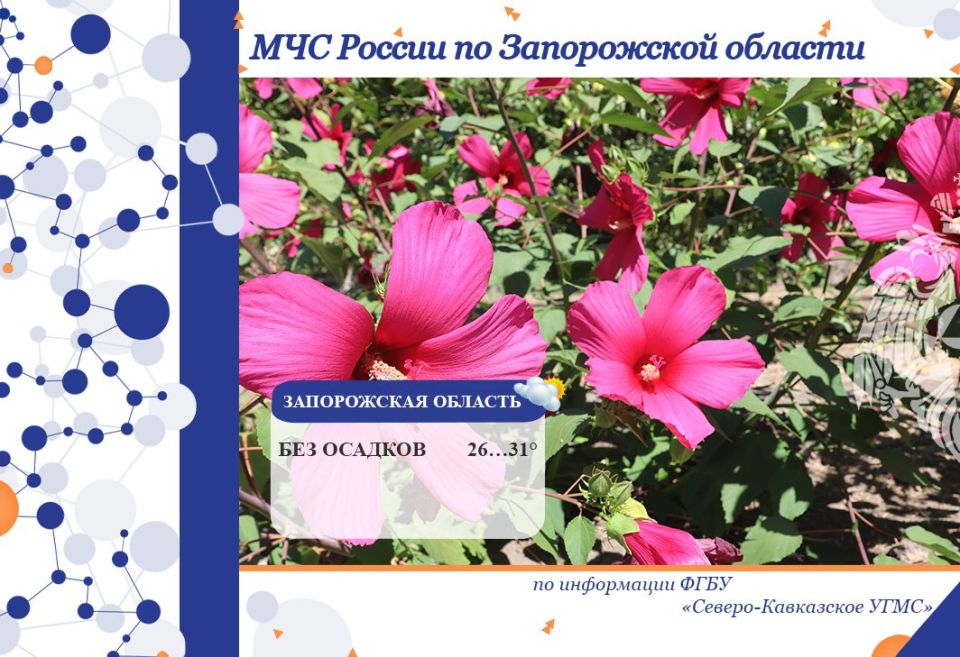 � 20 �� 21 ������� �� ���������� ������� ���������: