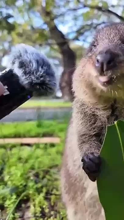 ���������� ������� � ��� �����