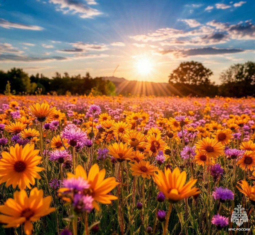 Чрезвычайная пожароопасность