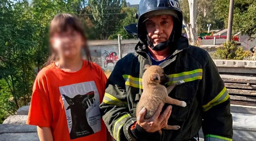 В Мелитополе сотрудники МЧС спасли щенка