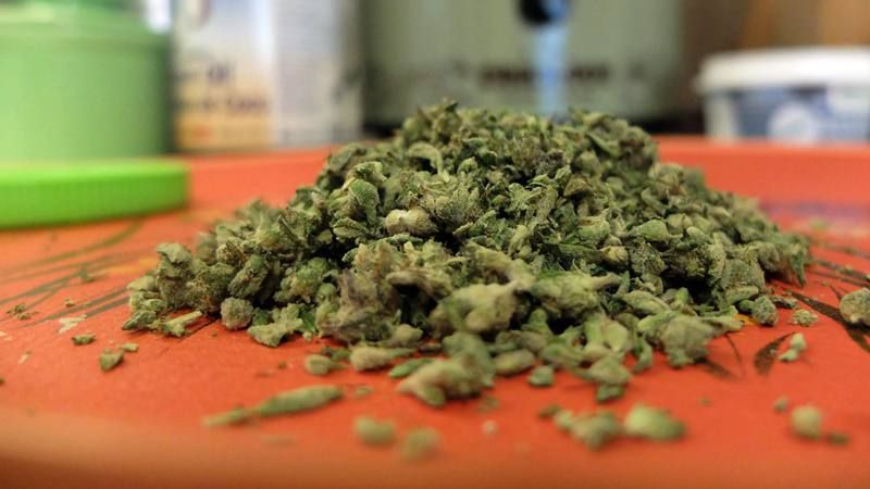 Запорожские полицейские изъяли запрещенные вещества