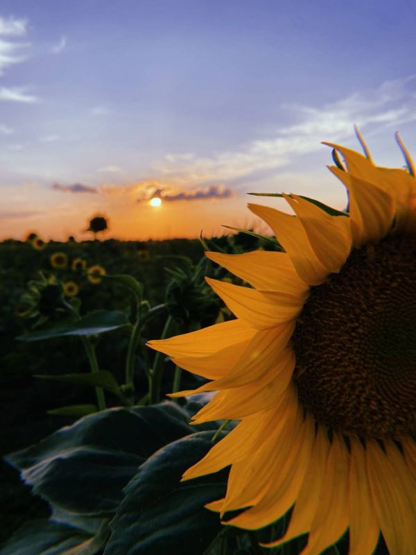  &quot;  -  &quot; -      !      