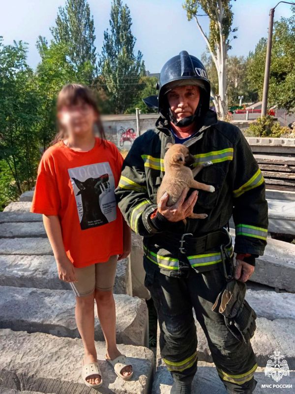 Щенка, застрявшего под завалами, спасли сотрудники МЧС России по Запорожской области