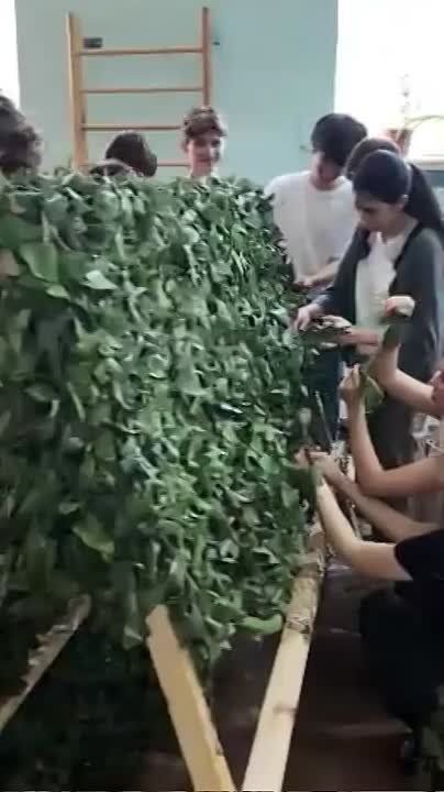 Более тысячи студентов в Крыму станут частью проекта плетения сетей для бойцов!