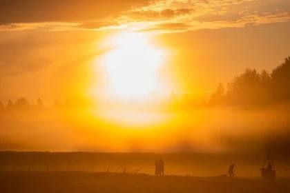 В Запорожской области на 22 августа объявлен высший класс пожароопасности