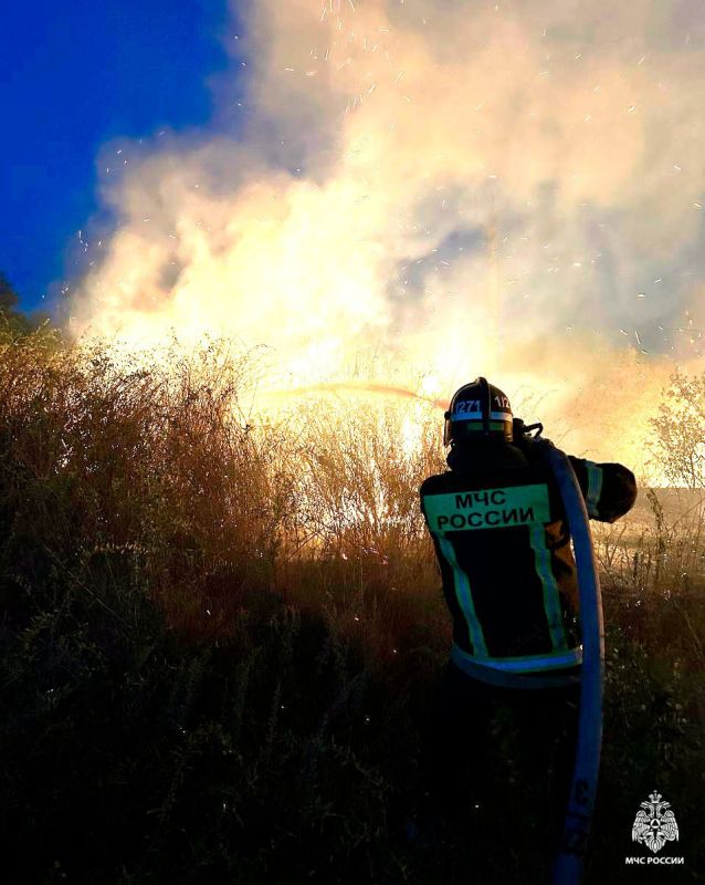 Оперативная информация за сутки