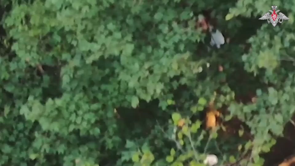 ������������-���������� ������ ����������