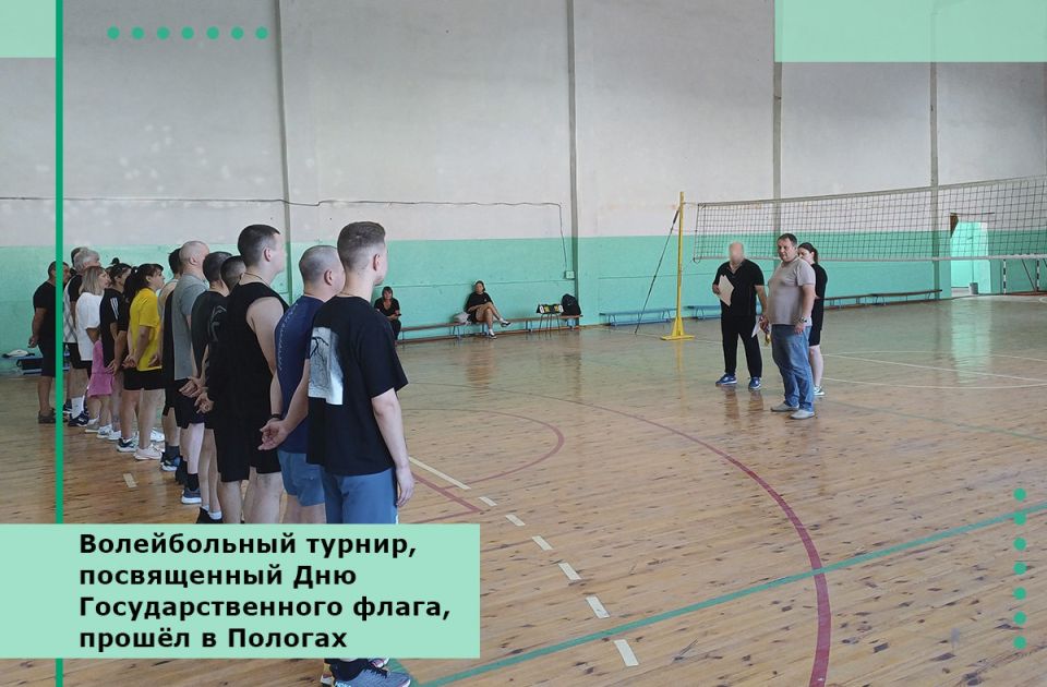 Волейбольный турнир, посвященный Дню Государственного флага, прошёл в Пологах