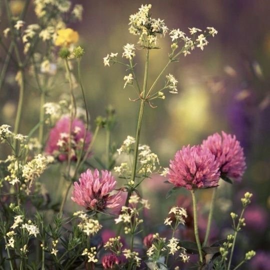 Уютного вечера!