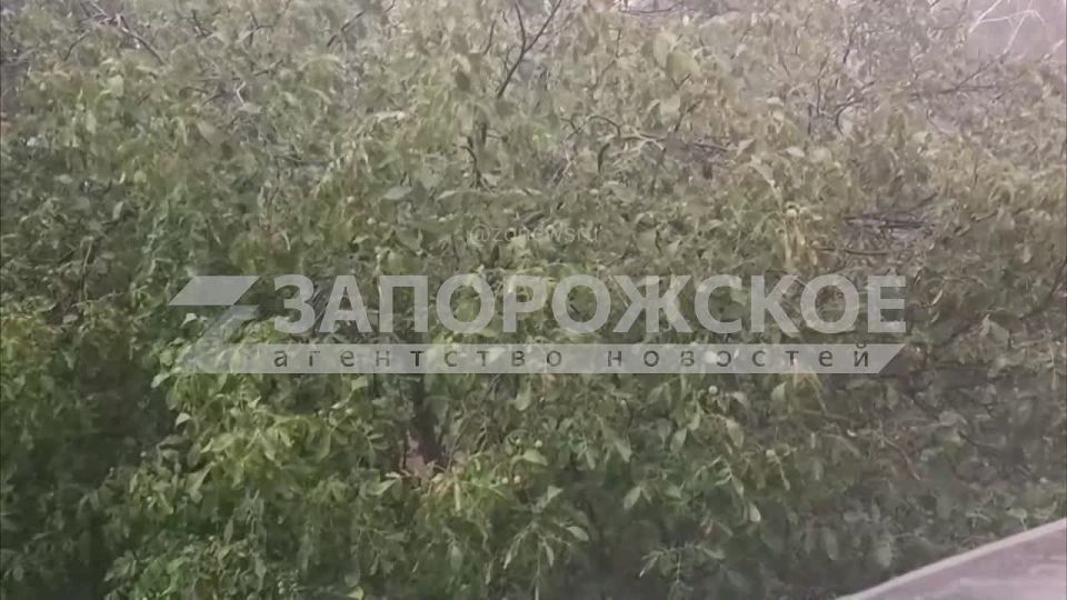 � ���������� ���� ����� ���������!