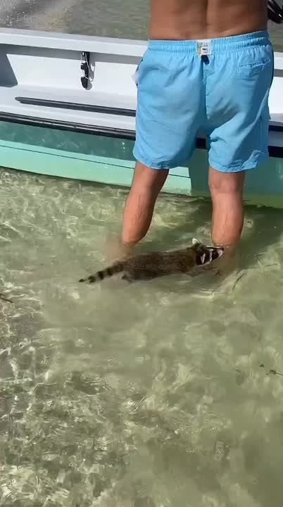 ������ ����, ������! �������� ��� ��� � ��������� ����������!