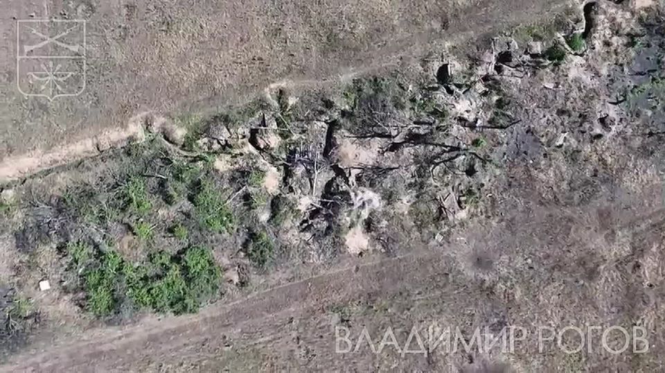 Владимир Рогов: Точные удары русских дроноводы по нацистам