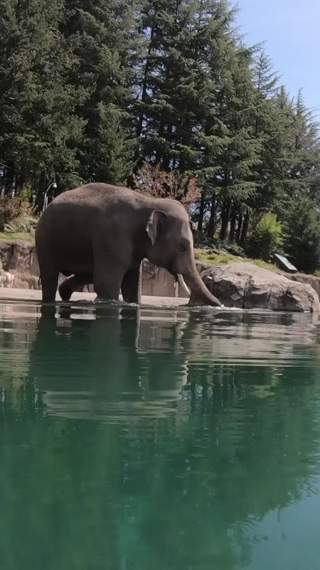 ���������� ��������� ����. ��������� � ������� ��������, ��� ���� ������