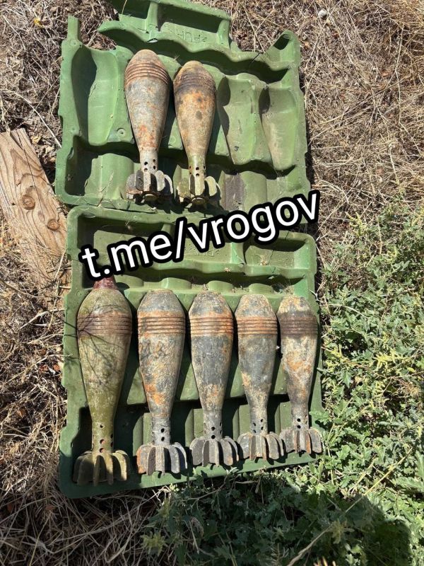 Владимир Рогов: На Запорожье нашли схрон с минами