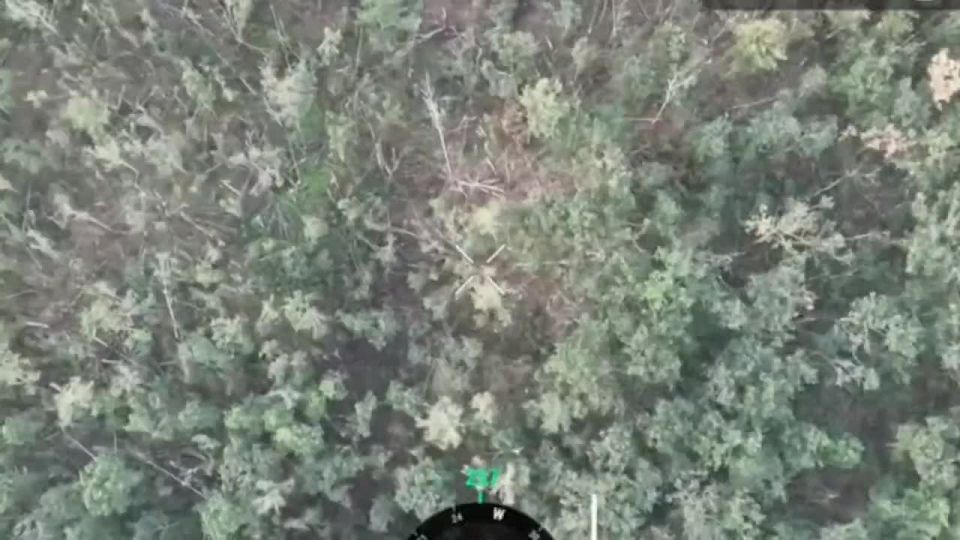 �������� ���������� ������ �������� �����: ���������� ���� �� ����� ���, ��������� ������-���� � ����������
