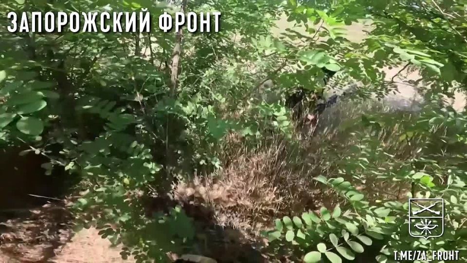 На кадрах боевая работа снайперов группировки войск "Восток" уничтожающих живую силу и тяжёлые коптеры ВСУ