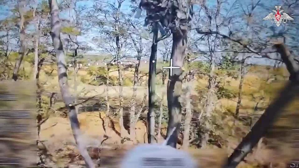 ���������� ������: ��������� ���������� ��������� ������ ������ �����