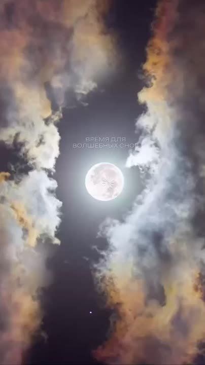 ����� �������������������