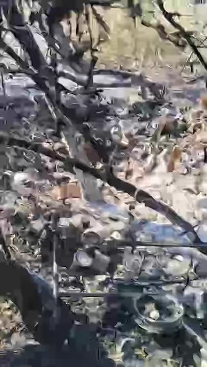 Анна Хорошун: Чудо на войне. Покров Царицы Небесной над блиндажом казаков «Терека»