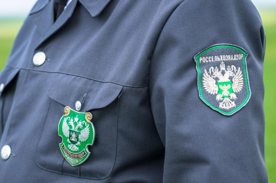 Специалисты Азово-Черноморского филиала ФГБУ «ЦОК АПК» завершили апробацию посевов подсолнечника в Запорожской и Херсонской областях