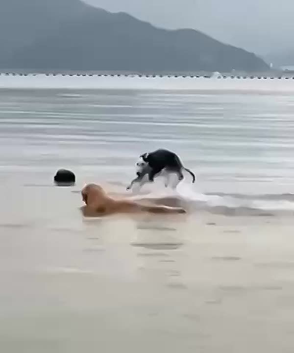 ��� � ��������� �����������