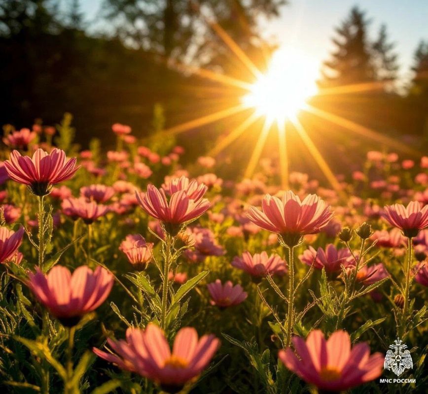 Чрезвычайная пожароопасность