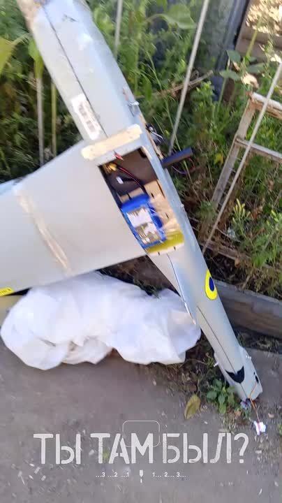 «Акула» снова попалась гарпунёрам!