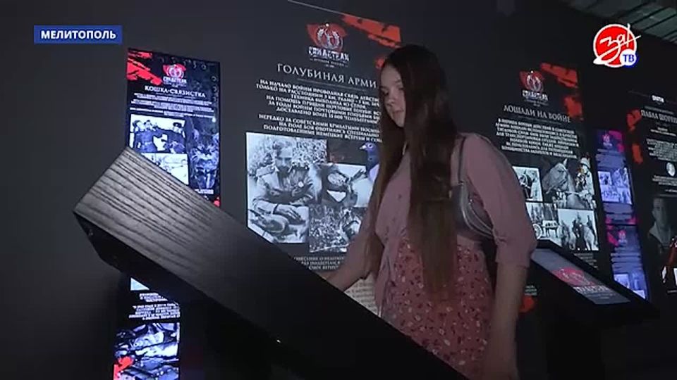 В мультимедийном парке «Россия — моя история» открылась выставка «Свидетели Великой Победы»