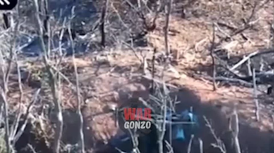 «Xоxол, ты же сам видишь, что происходит на фронте…»