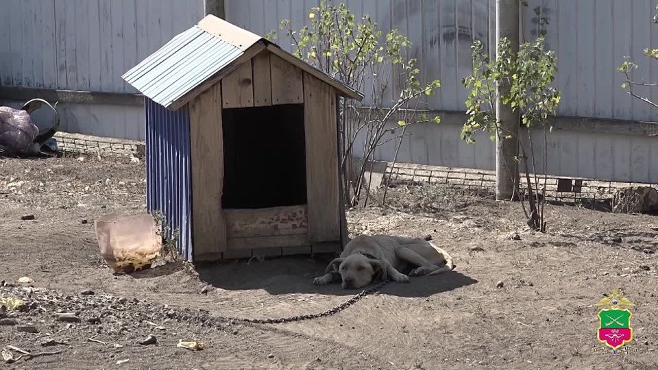 В канун нового учебного года Главное управление министерства внутренних дел России по Запорожской области присоединилось ко Всероссийской ежегодной акции «Помоги пойти учиться»