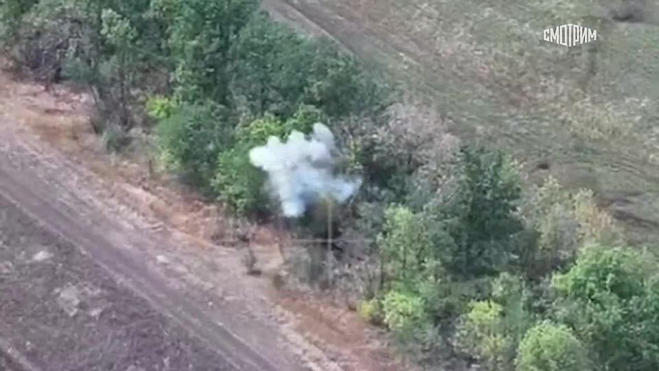 Минобороны РФ показало кадры освобождения села Запорожское в Днепропетровской области