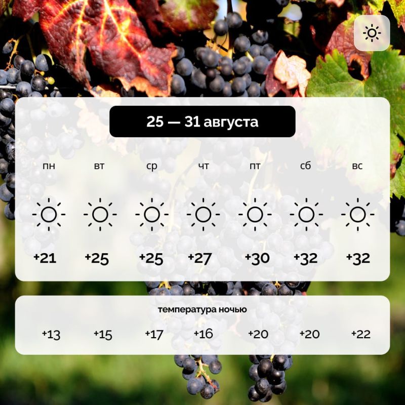 ������ � ����������� ������� �� 25 � 31 �������