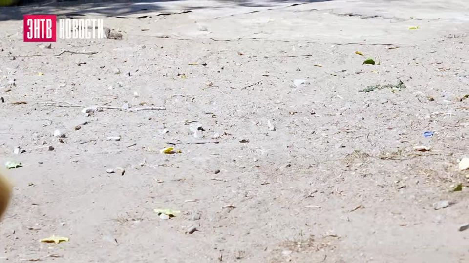 �� ���������� ������ "������ ������" ������ ����� "������ ����", ������������ �� ��� ���������� ���������
