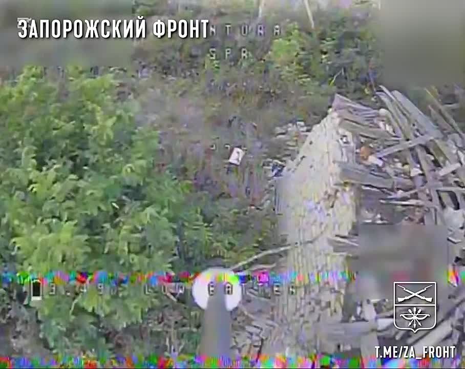 ������ "�������" ���������� �������� ���
