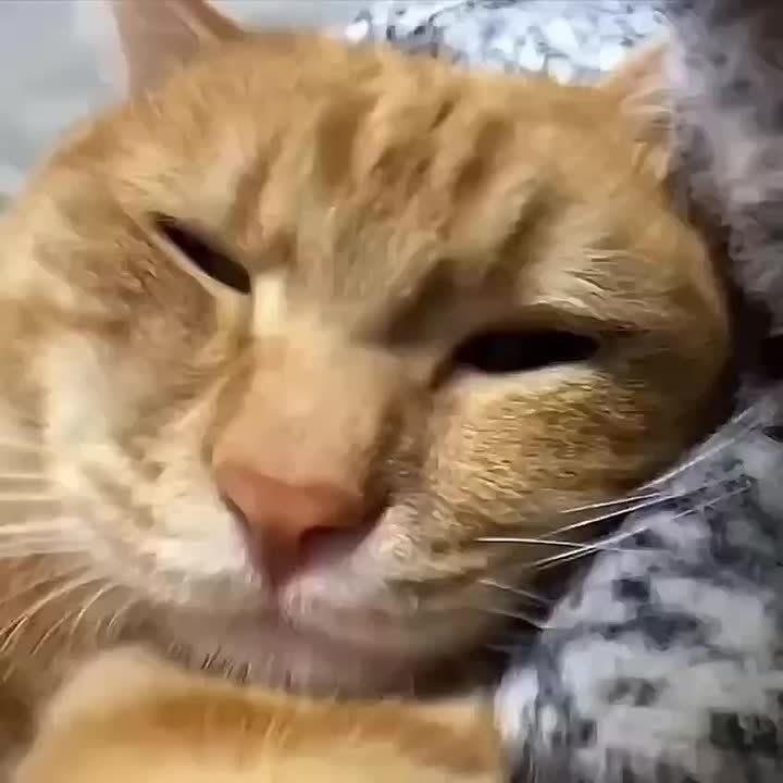 ����� ����� �� ������. ��������� ��� ���� ��������, �� ������� �� ���������