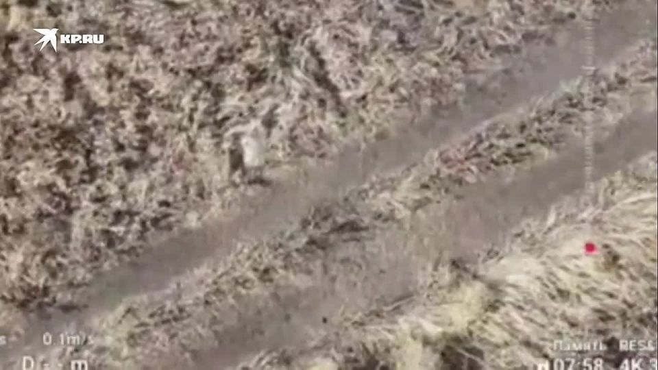 �������� � ��������� ���������: ������ �� 3D-�������� ������� ������� ��� � ����������� �������
