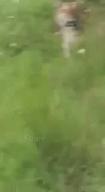 ������ ���� ��������, ����������� �������!