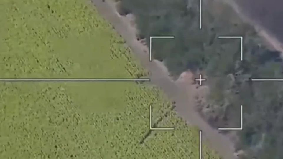 "Ланцет" вырезал раритетную американскую гаубицу М198 в Днепропетровской области