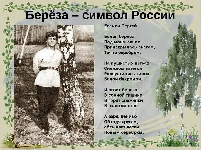 26          &quot;  -  &quot;