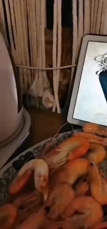 ������ �����������. � ���� ������� ���� ��� ������