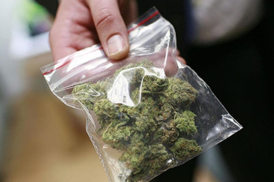 В Токмаке полицейские изъяли наркотические вещества