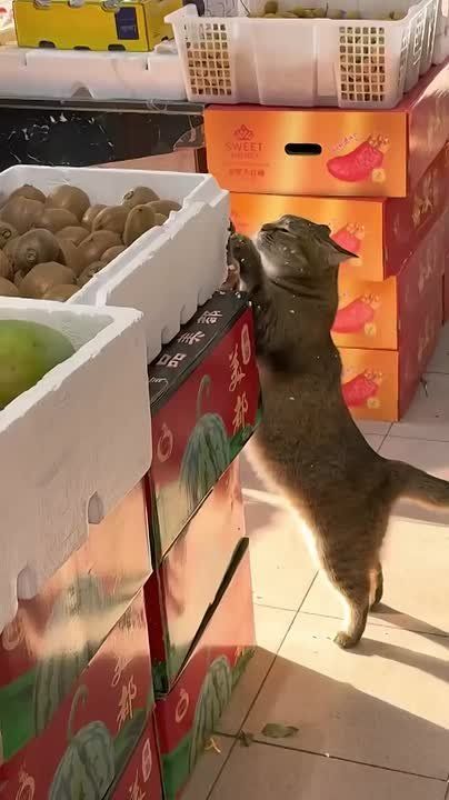 ������ ������ �����, ������ ������ �����