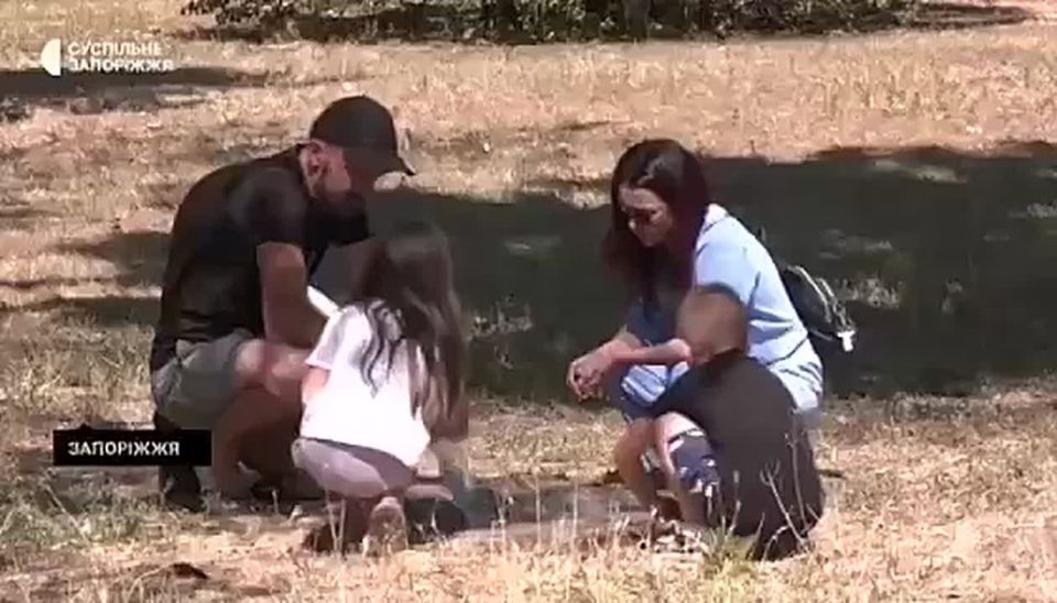 ������ ��������: �������� � ��� �������� �������