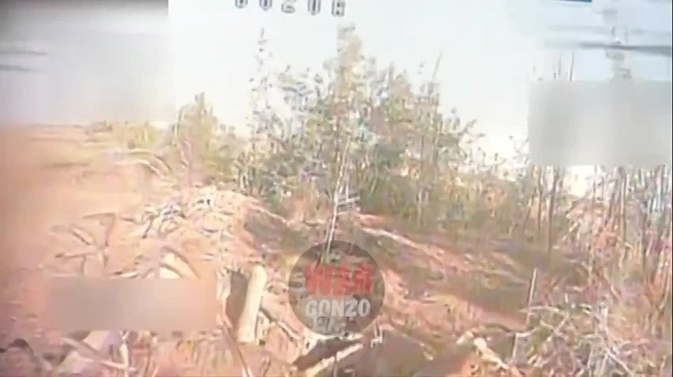 WarGonzo: Пулемётчик vs FPV – кто победит?