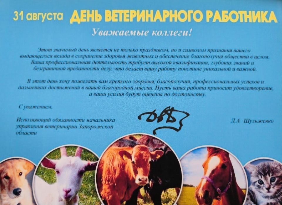 ���� �������� ���� �������� �� ������ ����������, �� � �������� ��������� ������ ����������� ������ � ���������� �������� �������� � ����������� ������������ �������� � �����