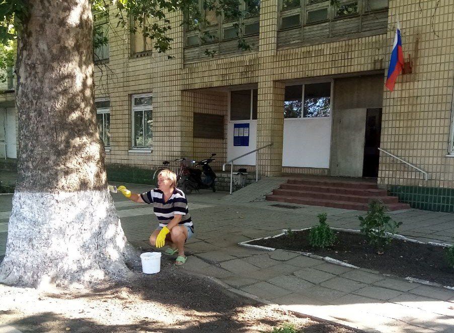 В Токмакском муниципальном округе проведены работы по благоустройству общественных территорий